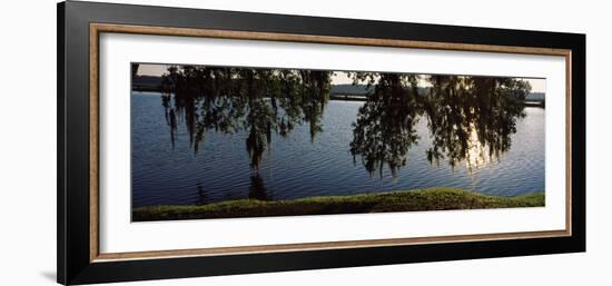 Reflection of Tree in a River, Middleton Place, Charleston, Charleston County, South Carolina, USA-null-Framed Photographic Print