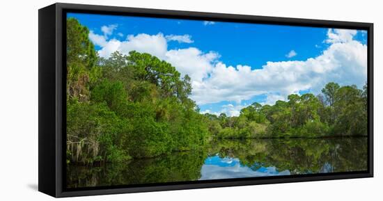 Reflection of trees and clouds in South Creek, Oscar Scherer State Park, Nokomis, Sarasota Count...-null-Framed Stretched Canvas