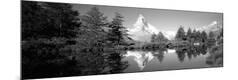 Photographic Print