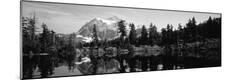 Photographic Print