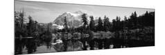 Photographic Print