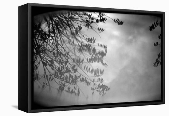 Reflection of Trees B/W-null-Framed Stretched Canvas