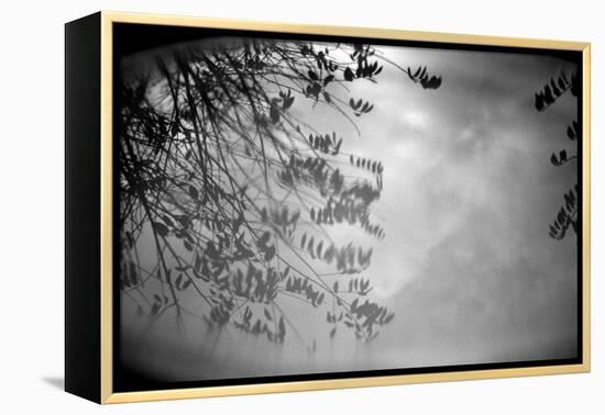 Reflection of Trees B/W-null-Framed Stretched Canvas