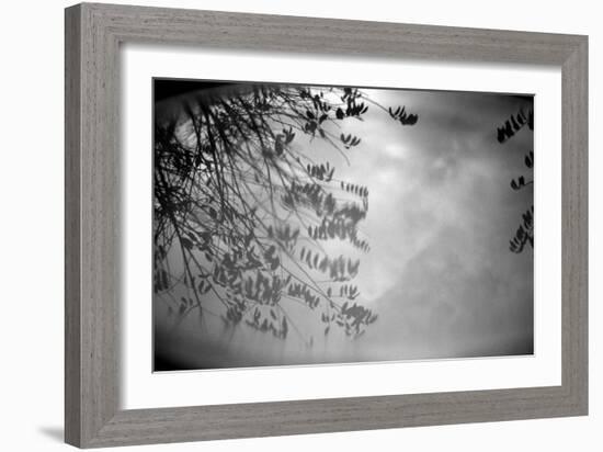 Reflection of Trees B/W-null-Framed Photo