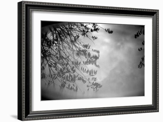 Reflection of Trees B/W-null-Framed Photo