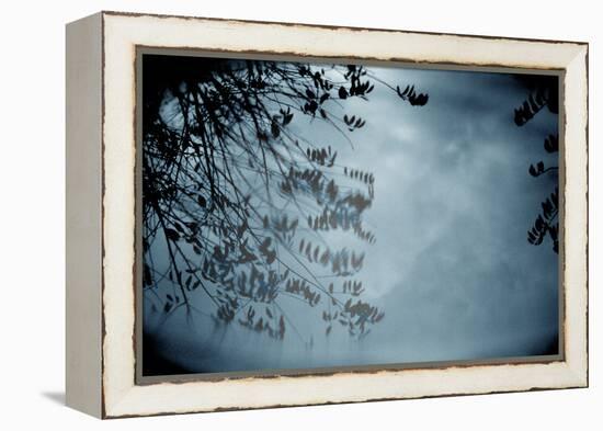 Reflection of Trees Colorful-null-Framed Stretched Canvas