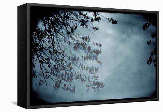 Reflection of Trees Colorful-null-Framed Stretched Canvas