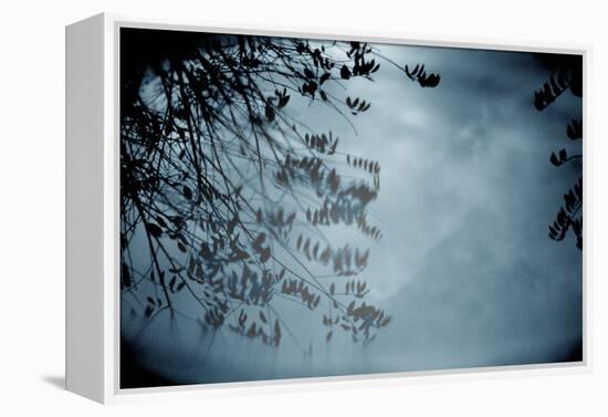 Reflection of Trees Colorful-null-Framed Stretched Canvas