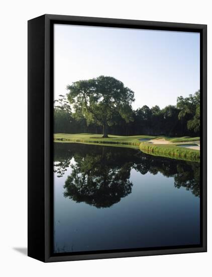 Reflection of Trees in a Lake, Kiawah Island Golf Resort, Kiawah Island, Charleston County-null-Framed Premier Image Canvas