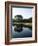 Reflection of Trees in a Lake, Kiawah Island Golf Resort, Kiawah Island, Charleston County-null-Framed Photographic Print