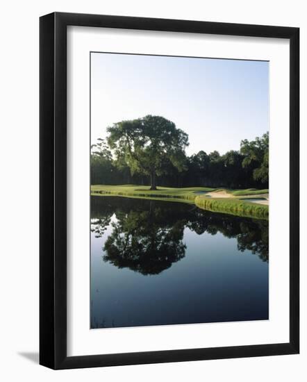 Reflection of Trees in a Lake, Kiawah Island Golf Resort, Kiawah Island, Charleston County-null-Framed Photographic Print