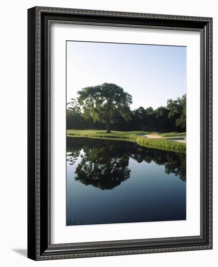 Reflection of Trees in a Lake, Kiawah Island Golf Resort, Kiawah Island, Charleston County-null-Framed Photographic Print