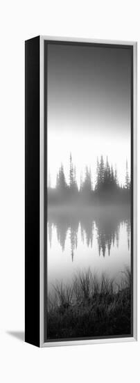 Reflection of Trees in a Lake, Mt Rainier, Mt Rainier National Park, Pierce County-null-Framed Stretched Canvas
