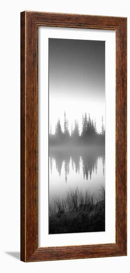 Reflection of Trees in a Lake, Mt Rainier, Mt Rainier National Park, Pierce County-null-Framed Photographic Print