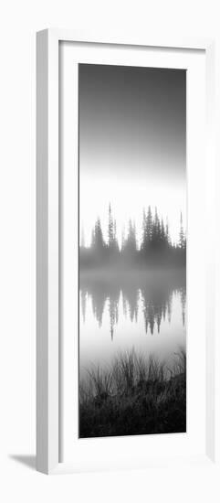 Reflection of Trees in a Lake, Mt Rainier, Mt Rainier National Park, Pierce County-null-Framed Photographic Print