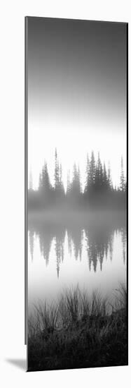 Reflection of Trees in a Lake, Mt Rainier, Mt Rainier National Park, Pierce County-null-Mounted Photographic Print