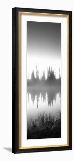 Reflection of Trees in a Lake, Mt Rainier, Mt Rainier National Park, Pierce County-null-Framed Photographic Print