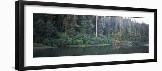 Reflection of Trees in a River, Smith River, Jedediah Smith Redwoods State Park, California, USA-null-Framed Photographic Print