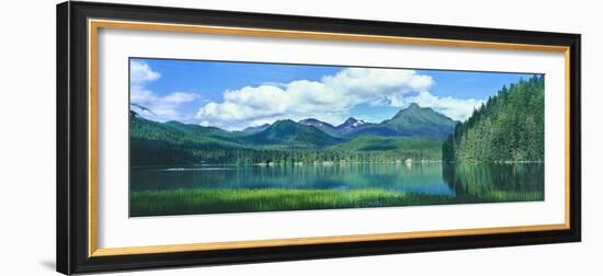 Reflection of trees in lake, Juneau Lake, Alaska, USA-Panoramic Images-Framed Photographic Print