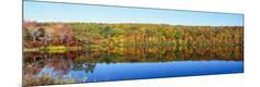 Premium Photographic Print