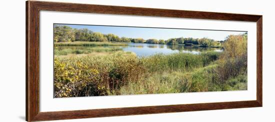 Reflection of Trees in Water, Odana Hills Golf Course, Madison, Dane County, Wisconsin, USA-null-Framed Photographic Print