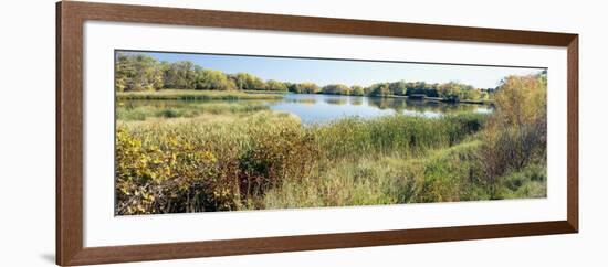 Reflection of Trees in Water, Odana Hills Golf Course, Madison, Dane County, Wisconsin, USA-null-Framed Photographic Print