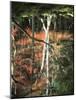Reflection of Trees in Water, Saihoji Temple, Kyoti Prefecture, Japan-null-Mounted Photographic Print