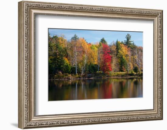 Reflection of trees on water, Adirondack Mountains State Park, New York State, USA-null-Framed Photographic Print