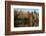 Reflection of trees on water, Adirondack Mountains State Park, New York State, USA-null-Framed Photographic Print