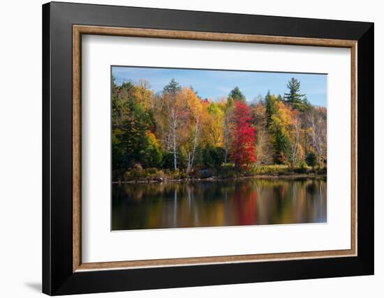 Reflection of trees on water, Adirondack Mountains State Park, New York State, USA-null-Framed Photographic Print