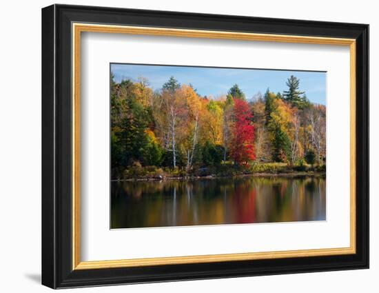 Reflection of trees on water, Adirondack Mountains State Park, New York State, USA-null-Framed Photographic Print