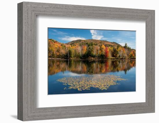 Reflection of trees on water, Adirondack Mountains State Park, New York State, USA-null-Framed Photographic Print