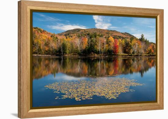 Reflection of trees on water, Adirondack Mountains State Park, New York State, USA-null-Framed Premier Image Canvas