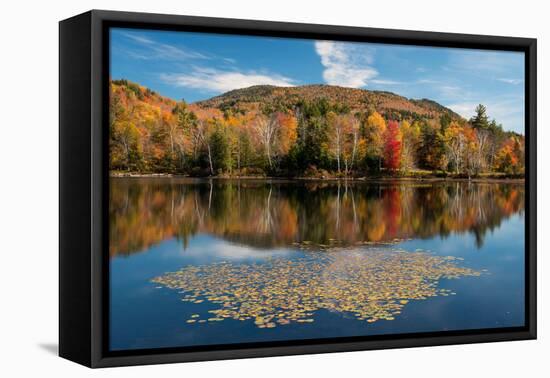 Reflection of trees on water, Adirondack Mountains State Park, New York State, USA-null-Framed Premier Image Canvas