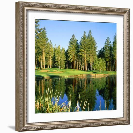 Reflection of Trees on Water, Edgewood Tahoe Golf Course, Stateline, Douglas County, Nevada, USA-null-Framed Photographic Print