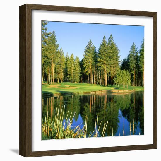 Reflection of Trees on Water, Edgewood Tahoe Golf Course, Stateline, Douglas County, Nevada, USA-null-Framed Photographic Print