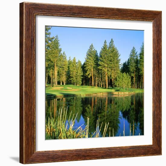 Reflection of Trees on Water, Edgewood Tahoe Golf Course, Stateline, Douglas County, Nevada, USA-null-Framed Photographic Print