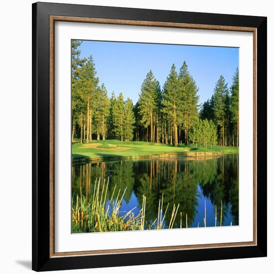 Reflection of Trees on Water, Edgewood Tahoe Golf Course, Stateline, Douglas County, Nevada, USA-null-Framed Photographic Print