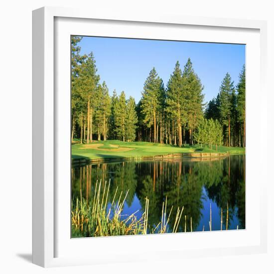 Reflection of Trees on Water, Edgewood Tahoe Golf Course, Stateline, Douglas County, Nevada, USA-null-Framed Photographic Print