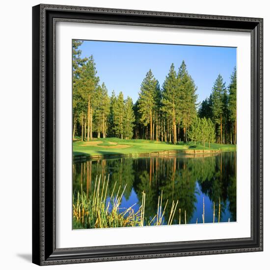 Reflection of Trees on Water, Edgewood Tahoe Golf Course, Stateline, Douglas County, Nevada, USA-null-Framed Photographic Print