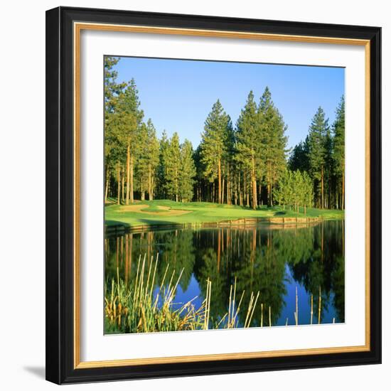 Reflection of Trees on Water, Edgewood Tahoe Golf Course, Stateline, Douglas County, Nevada, USA-null-Framed Photographic Print