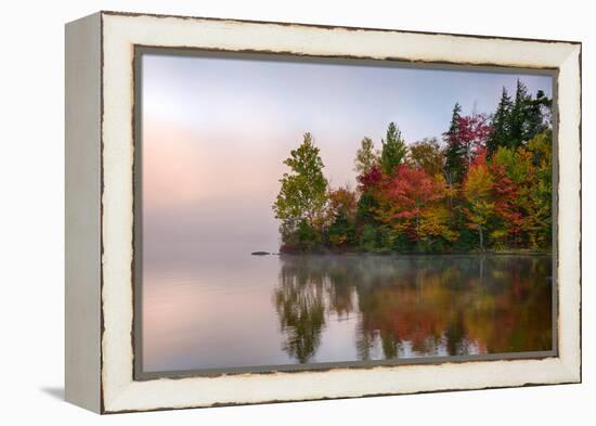 Reflection of trees on water, Seventh Lake, Adirondack Mountains State Park, New York State, USA-null-Framed Premier Image Canvas