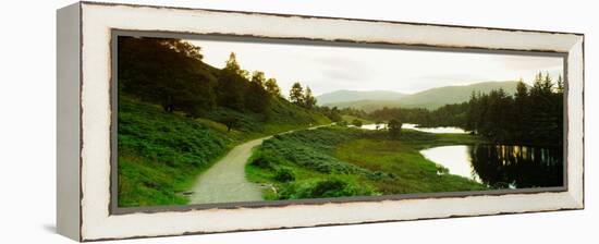 Reflection of trees on water, Tarn Hows, Lake District, Lake District National Park, Cumbria, En...-null-Framed Premier Image Canvas