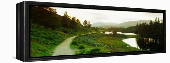 Reflection of trees on water, Tarn Hows, Lake District, Lake District National Park, Cumbria, En...-null-Framed Premier Image Canvas