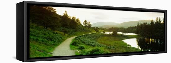 Reflection of trees on water, Tarn Hows, Lake District, Lake District National Park, Cumbria, En...-null-Framed Premier Image Canvas