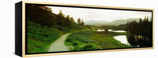 Reflection of trees on water, Tarn Hows, Lake District, Lake District National Park, Cumbria, En...-null-Framed Premier Image Canvas