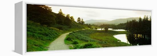 Reflection of trees on water, Tarn Hows, Lake District, Lake District National Park, Cumbria, En...-null-Framed Premier Image Canvas