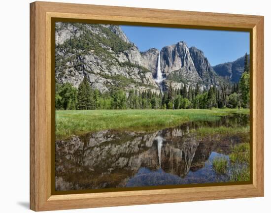 Reflection of Yosemite Falls in Merced River, Yosemite National Park, California, USA-null-Framed Premier Image Canvas