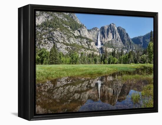 Reflection of Yosemite Falls in Merced River, Yosemite National Park, California, USA-null-Framed Premier Image Canvas