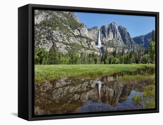 Reflection of Yosemite Falls in Merced River, Yosemite National Park, California, USA-null-Framed Premier Image Canvas